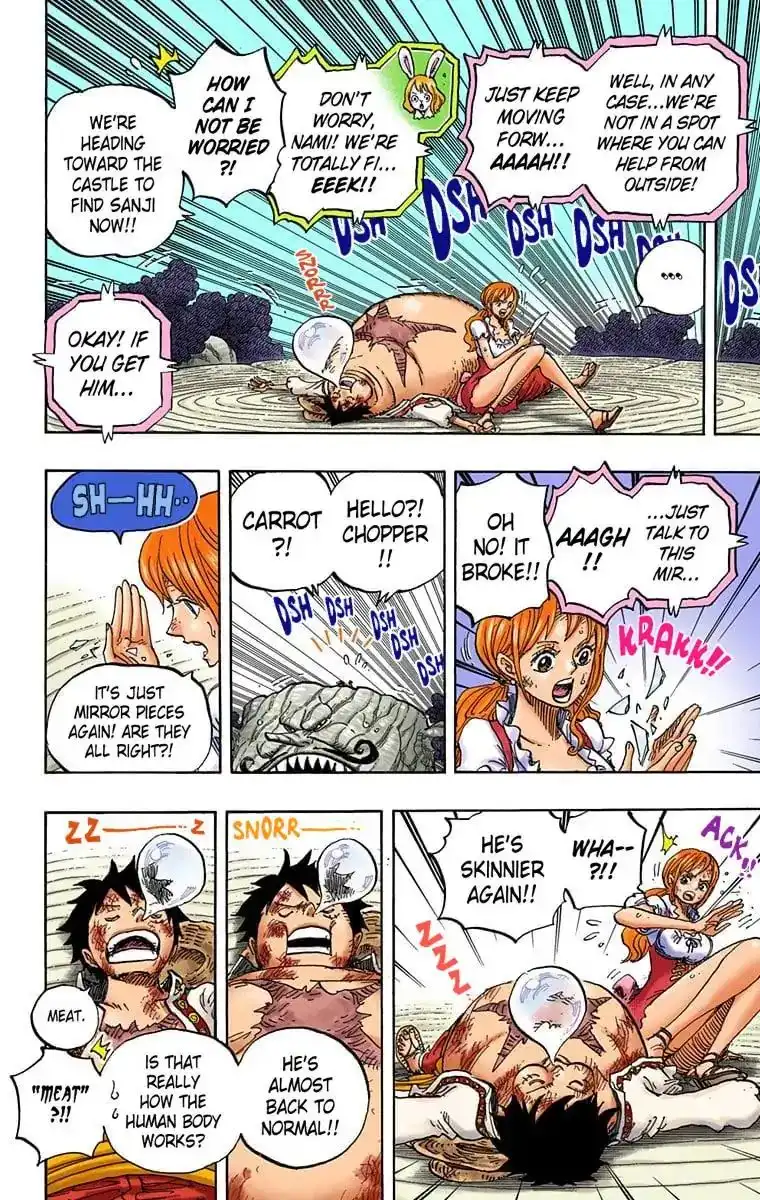 One Piece - Digital Colored Comics Chapter 843 11